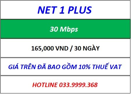 Net 1 Plus