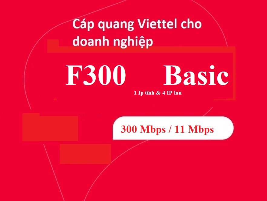F300 Basic Viettel