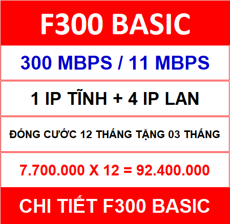 F300 Basic 12 Th