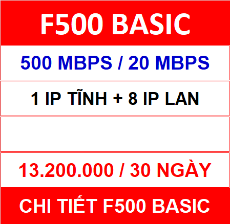 F500 Basic